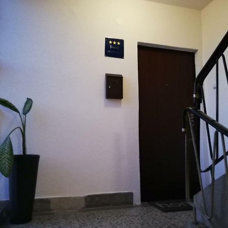 Apartman Skribulja 茹帕尼亚 外观 照片